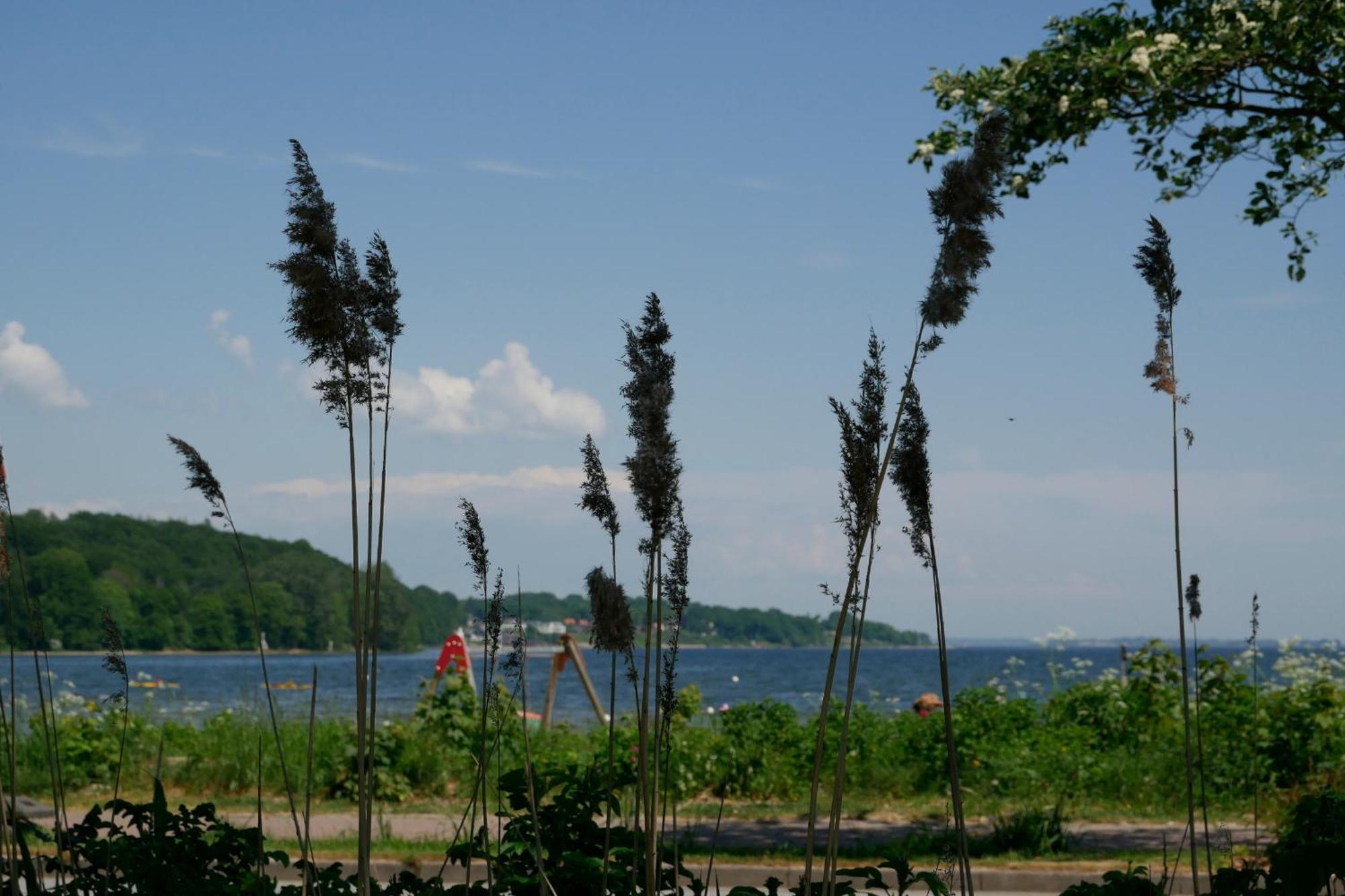 Ostsee, Wunderschoene Wohnung Mit Meerblick Harrislee Εξωτερικό φωτογραφία